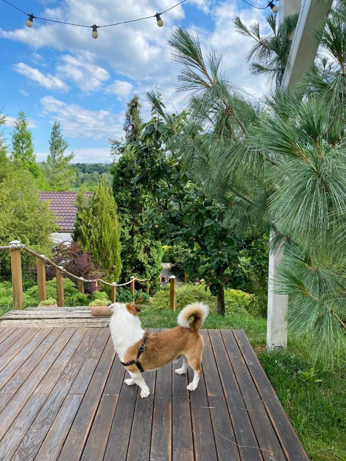 Casa cu Suflet Hotel Sighisoara Bagian luar foto