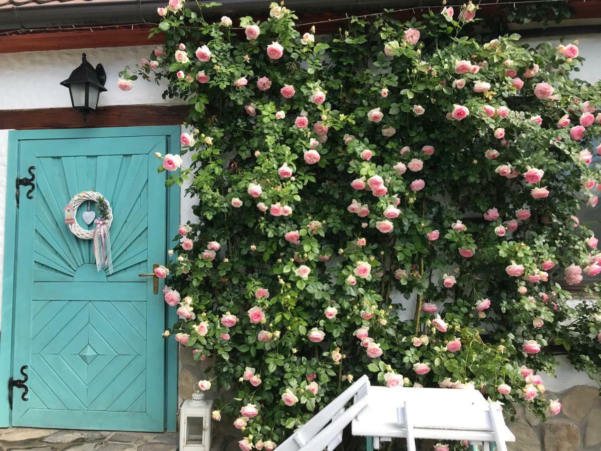 Casa cu Suflet Hotel Sighisoara Bagian luar foto